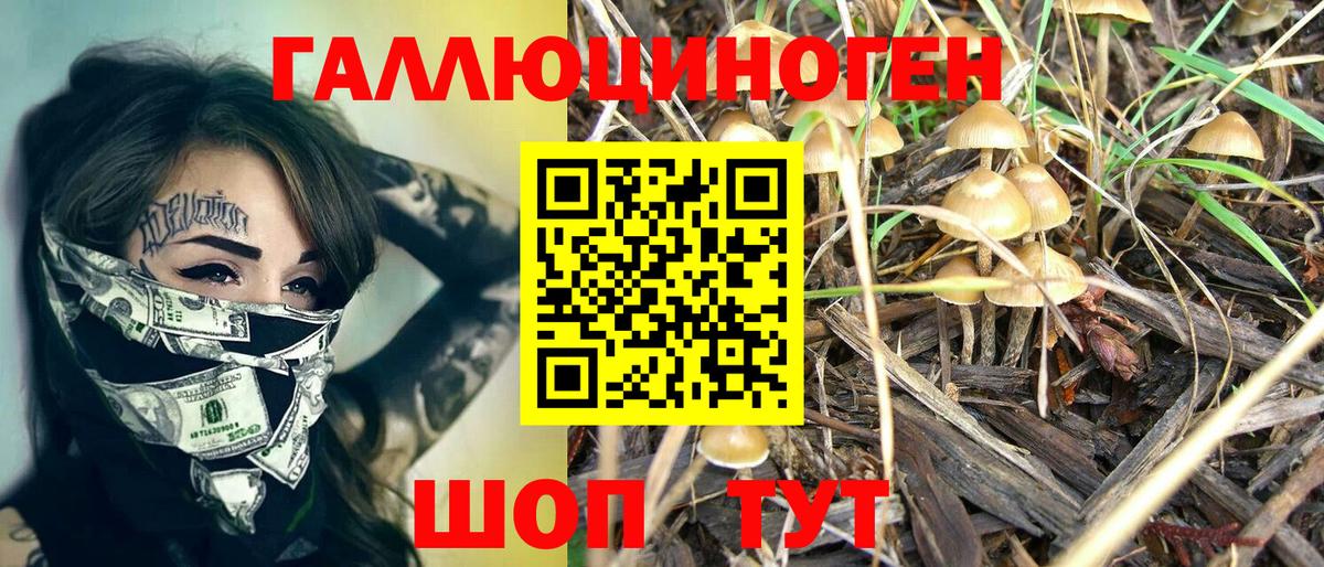 Галлюциногенные грибы Psilocybine cubensis  Псилоцибиновые грибы GOLDEN TEACHER  Вход с VPN  Гулькевичи 