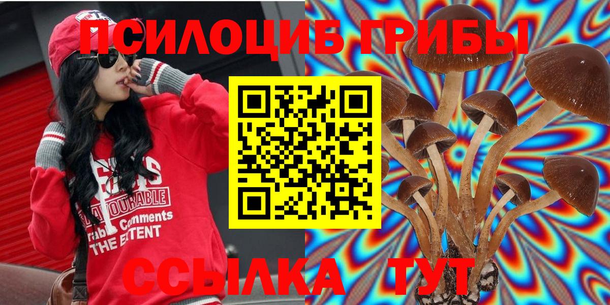 Галлюциногенные грибы Magic Shrooms Гулькевичи