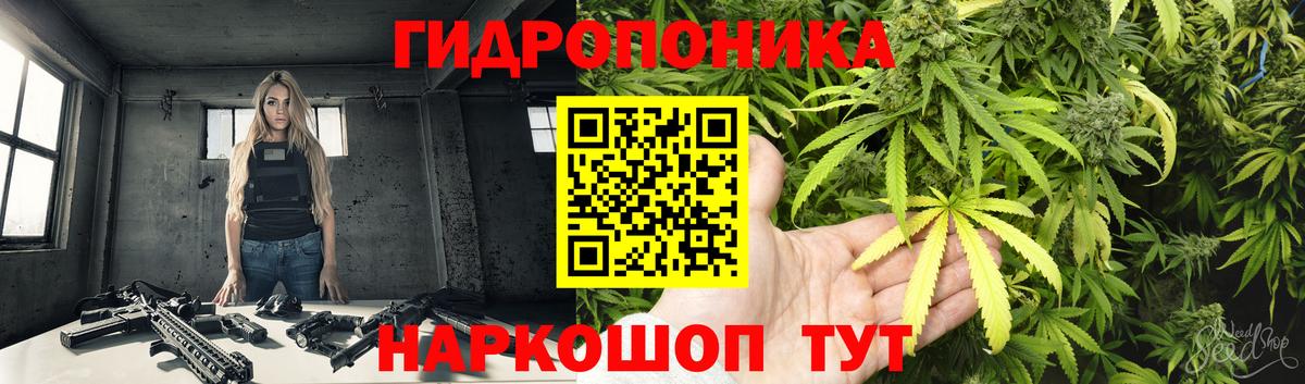 Бошки марихуана планчик  Вход с VPN  Бошки марихуана LSD WEED  Марихуана индика  Конопля ГИДРОПОН  Гулькевичи 