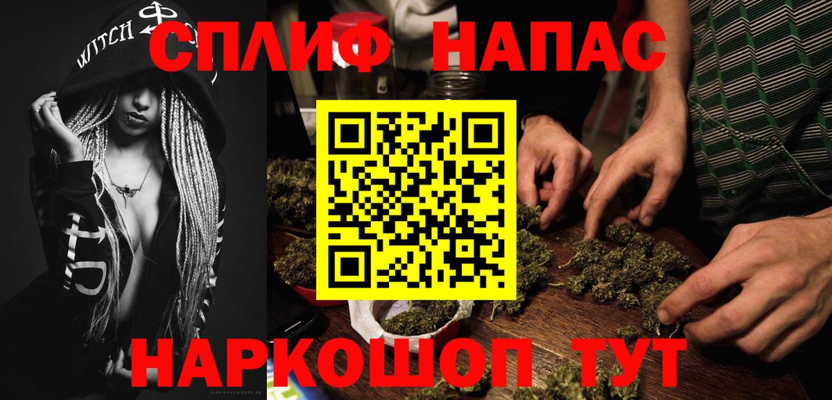Конопля гибрид Гулькевичи